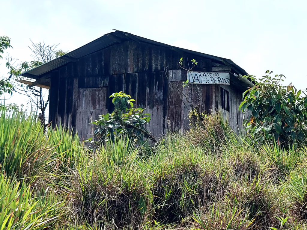 Abgebildet steht eine Hütte in Ecuador umgeben von Gestrüpp.